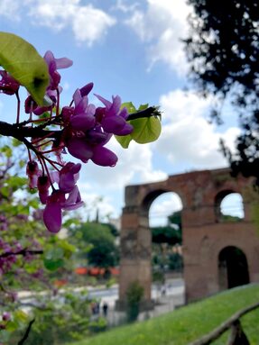 aqueduc, Palatin (Rome), photo d'Élisa